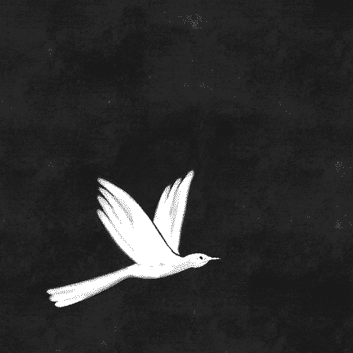L'étoile et l'oiseau Animation